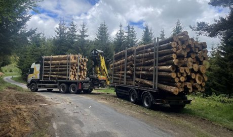 Transport bois - Yssingeaux - Transport Pichon Florent