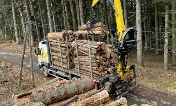 Transport bois - Yssingeaux - Transport Pichon Florent