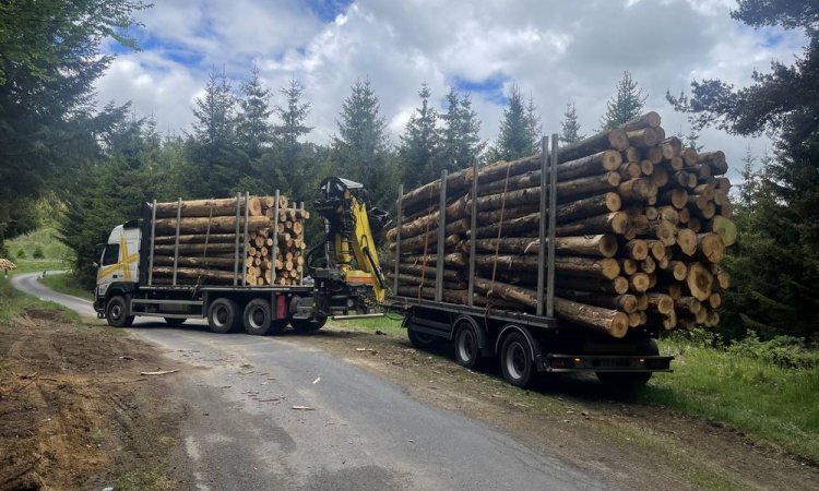 Transport bois - Yssingeaux - Transport Pichon Florent